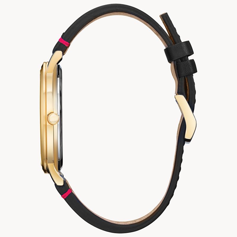 Citizen cheap ironman watch